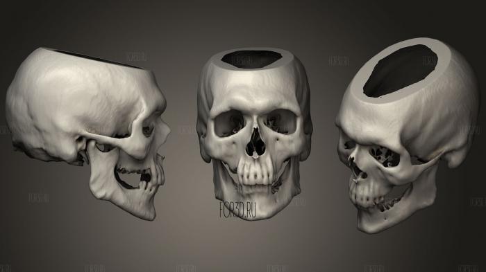 Skull Male 54yo stl model for CNC